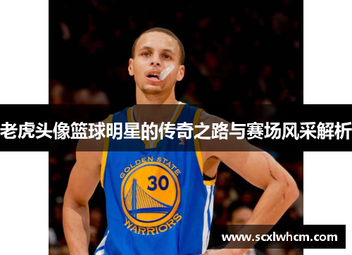 老虎头像篮球明星的传奇之路与赛场风采解析